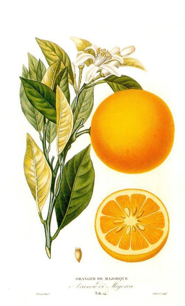 arancione